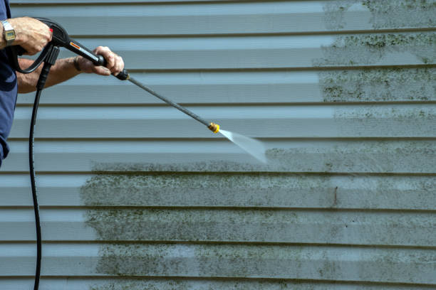 Best Driveway Pressure Washing  in Spring Valley, WI